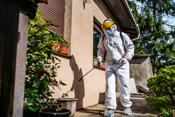 Best Wasp Removal Services  in Petersburg, MI