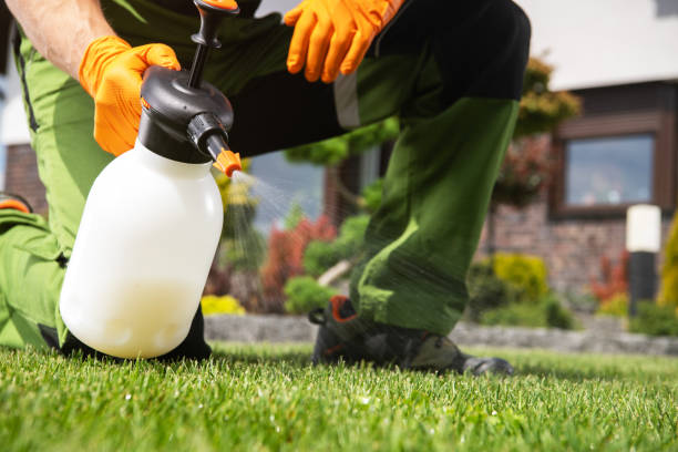 Pest Control for Restaurants in Petersburg, MI