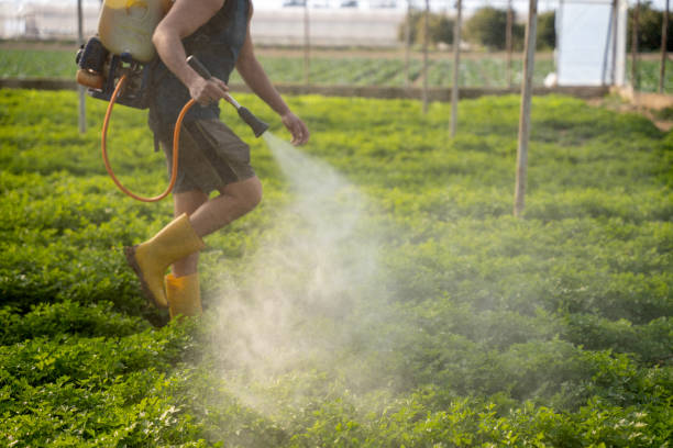 Pest Control Cost in Petersburg, MI