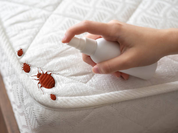Best Cockroach Control Services  in Petersburg, MI