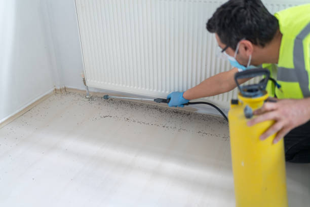 Best Pest Inspection Near Me  in Petersburg, MI